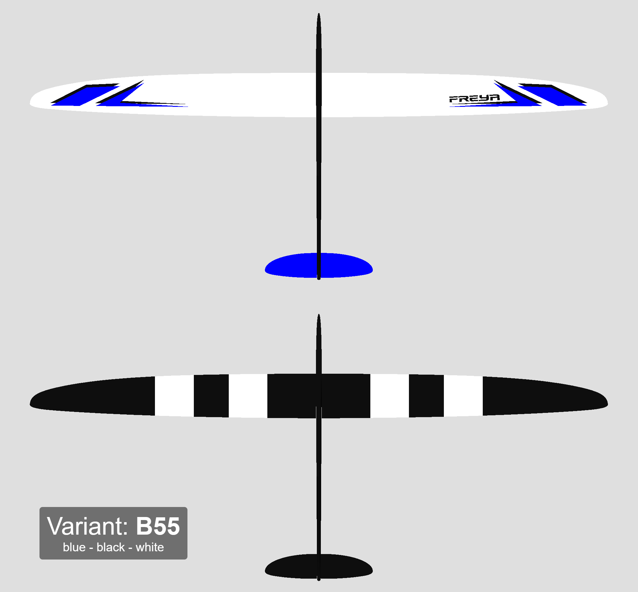 B55